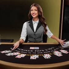 3333 bet app
